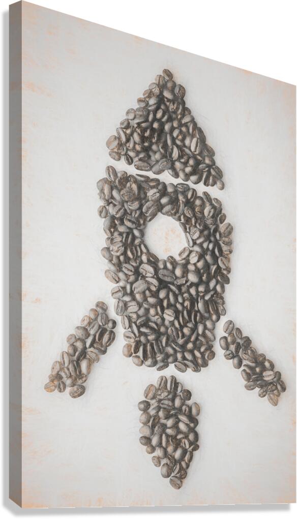 Morning Liftoff Canvas Print