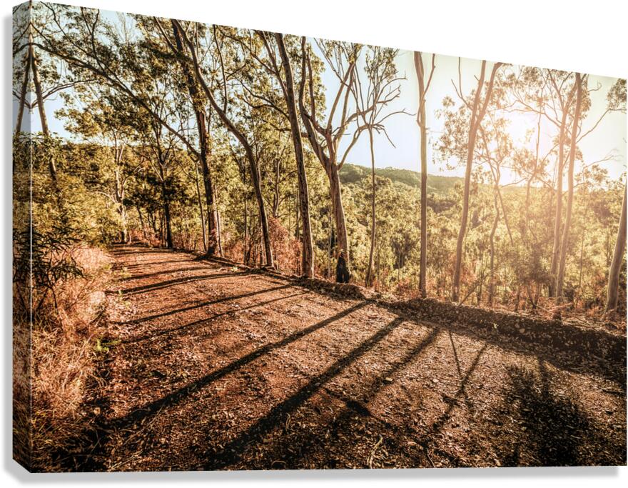 Upcountry Ridgeline Canvas Print