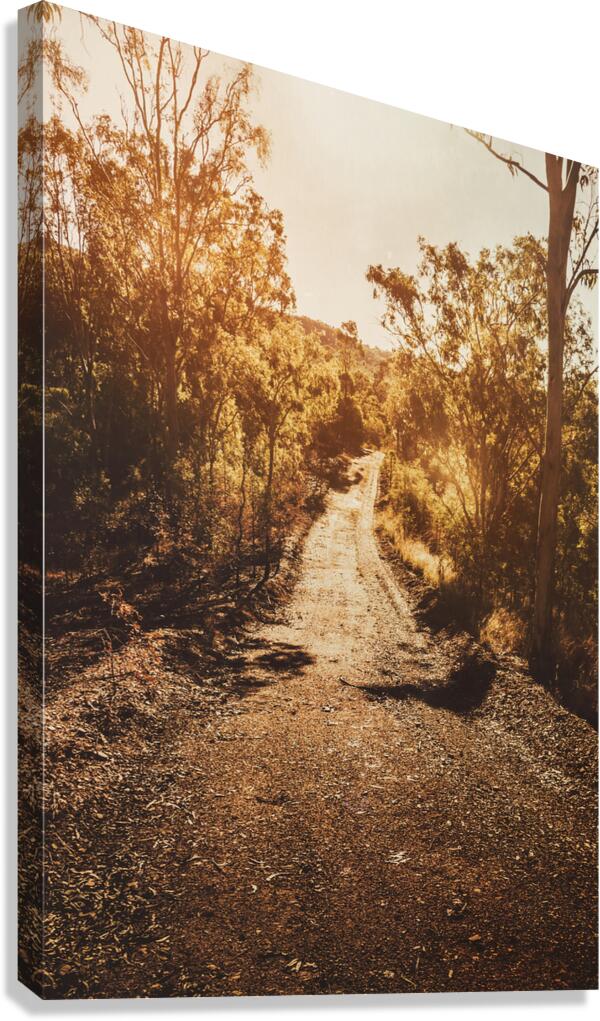 Sunflare Thoroughfare  Canvas Print