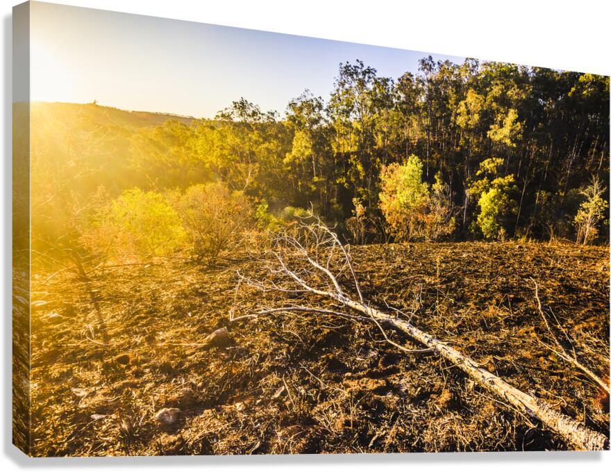 Awash In Sundown Canvas Print