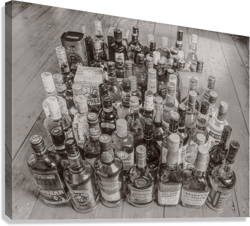 Dusty Drinks Lair Canvas Print