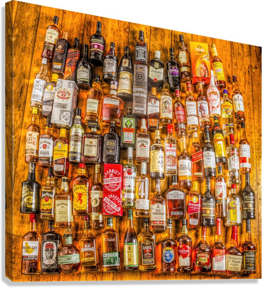 Minibar Canvas Print