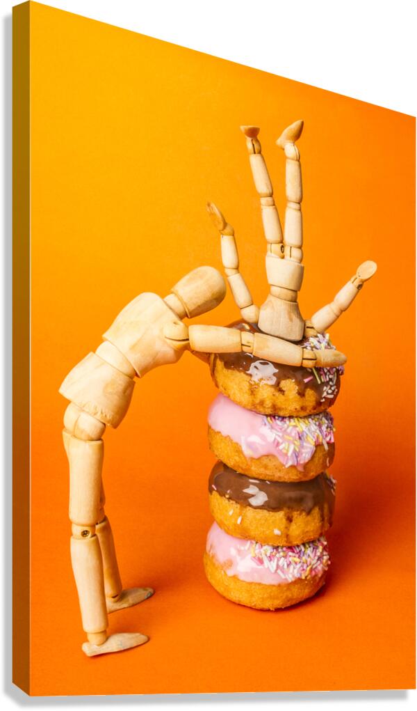 Doughnut Fix Canvas Print