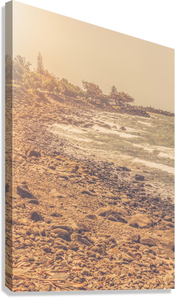 Ocean Afternoons Canvas Print