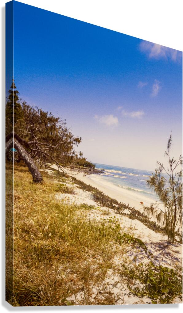 Paradise Pastel Canvas Print