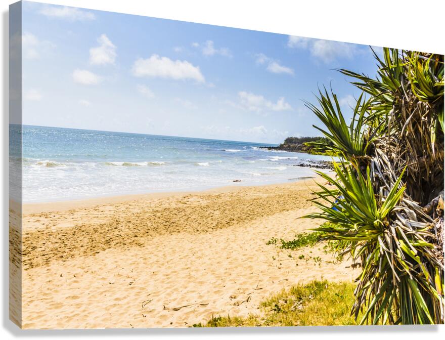 Beyond The Palms Canvas Print