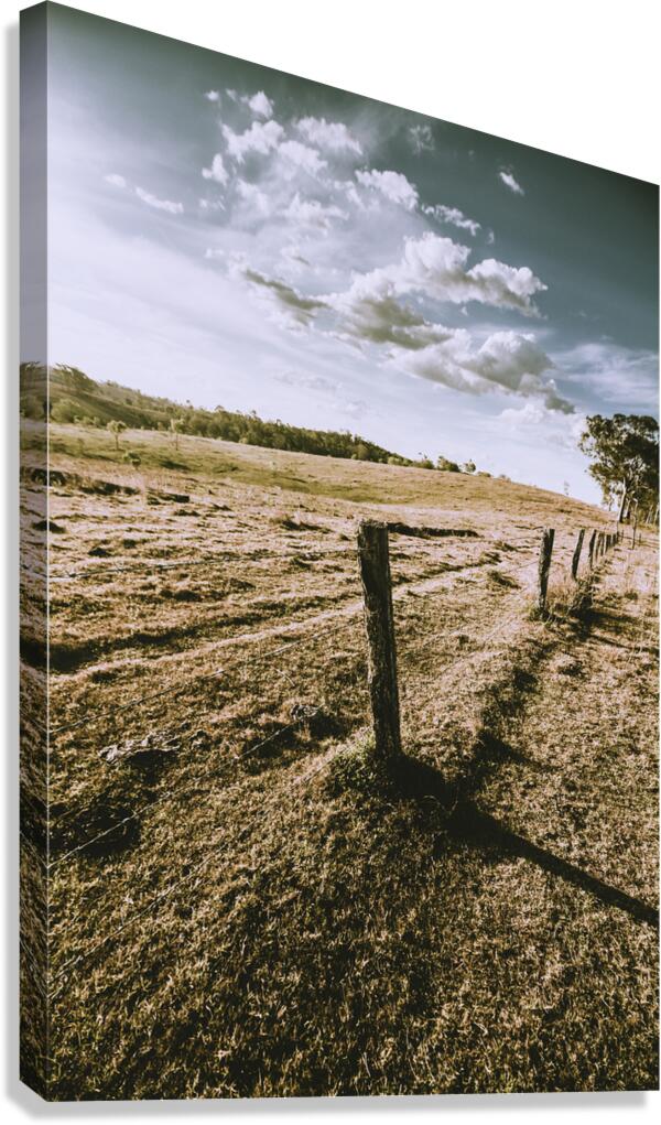 Borderlines Canvas Print