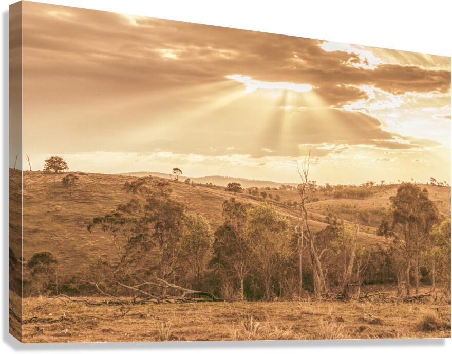 Gold Country Canvas Print