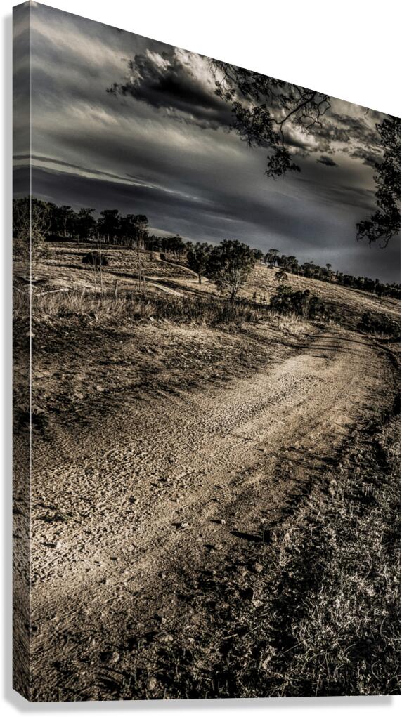 Backroads Billowing Canvas Print