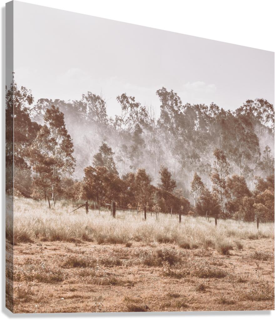 Pacified Paddock Canvas Print