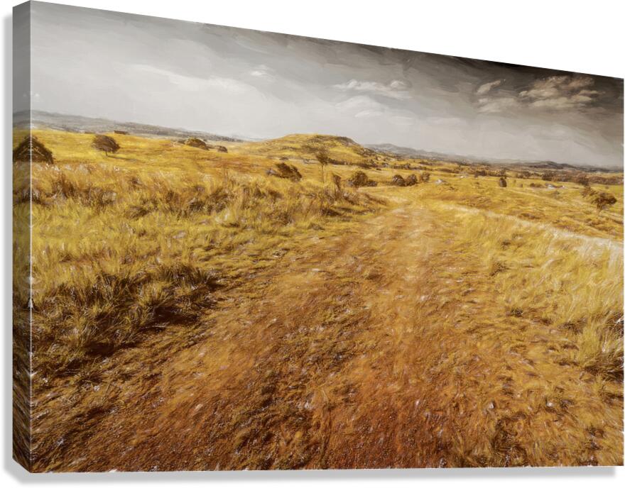 Trailing Branch Creek Canvas Print