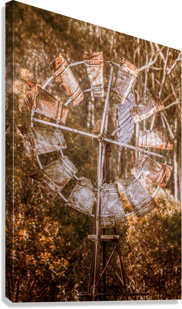 Shades Of Autumns Rust Canvas Print