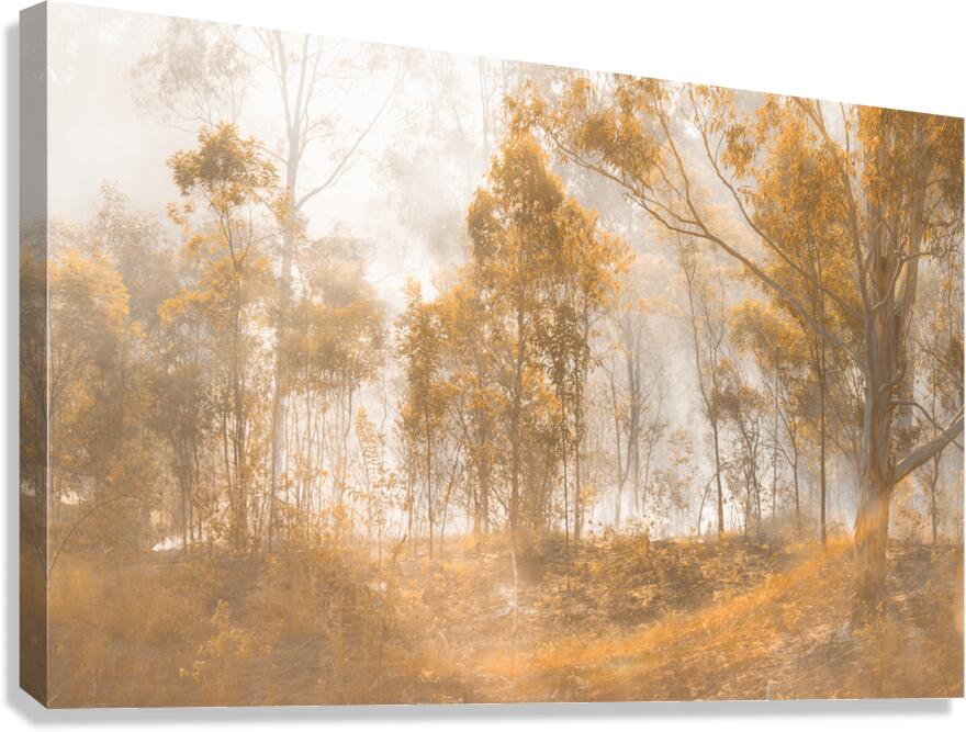 Mistery Canvas Print