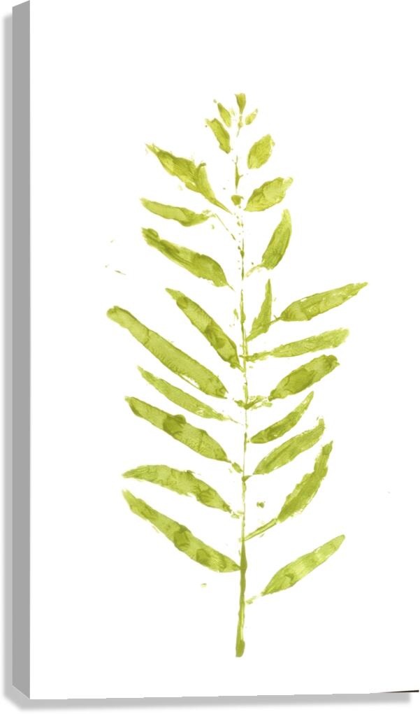 Painted Gum Canvas Print