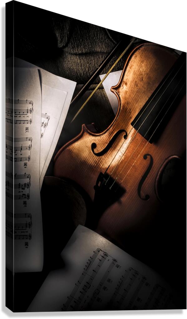 Passions In Play Canvas Print