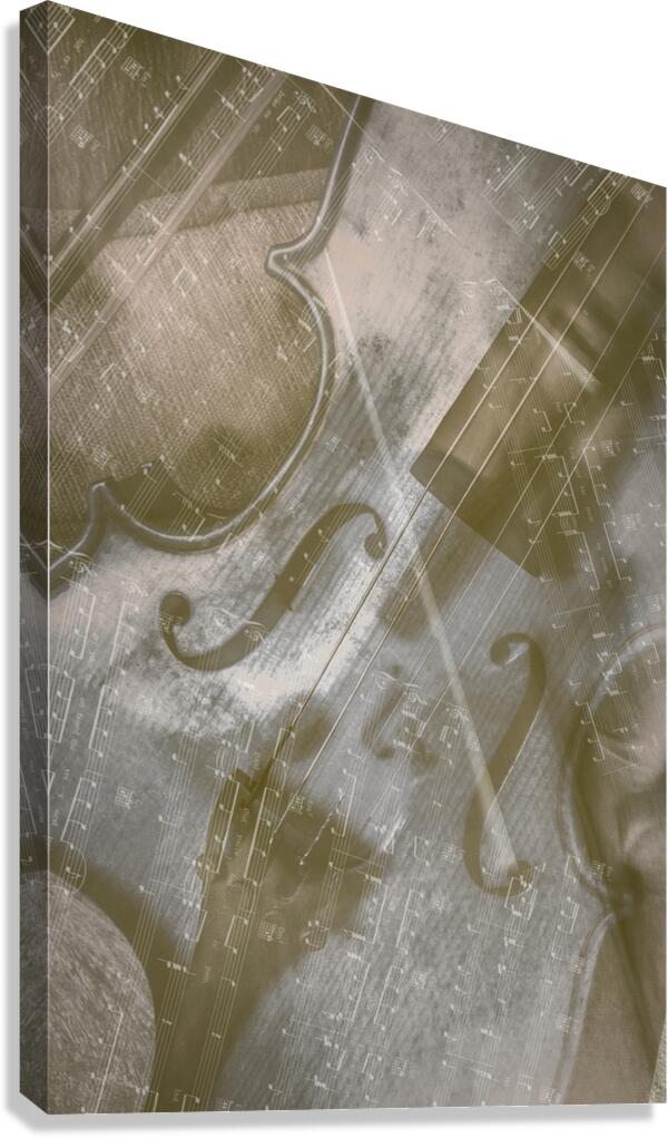 Abstract Play Canvas Print