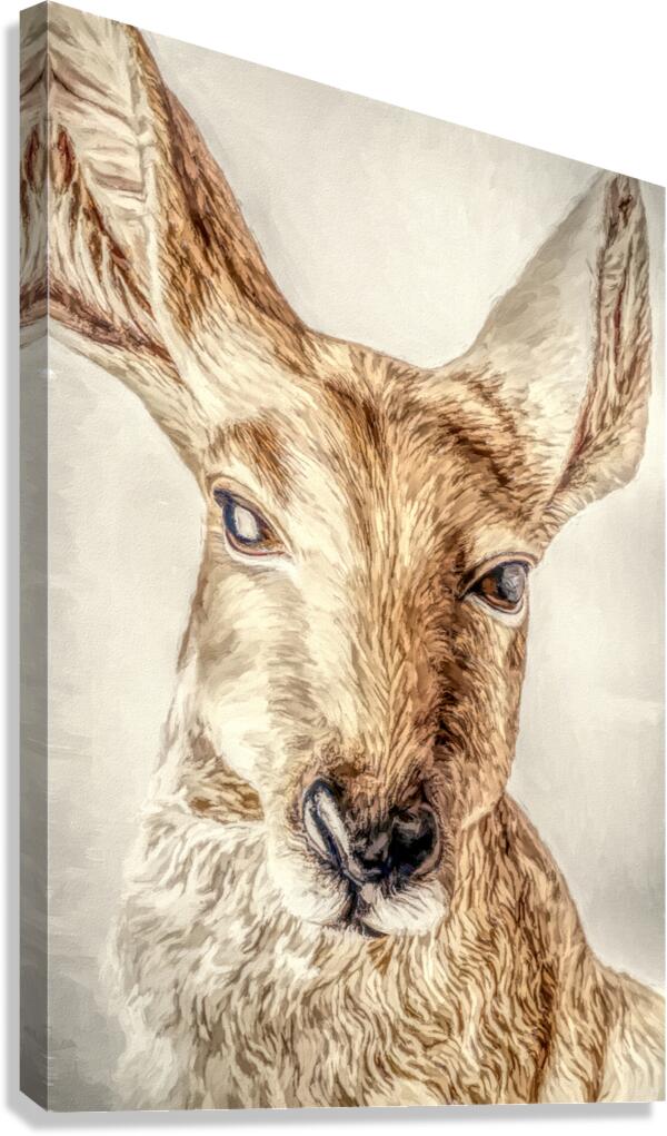 Country Lookout Canvas Print