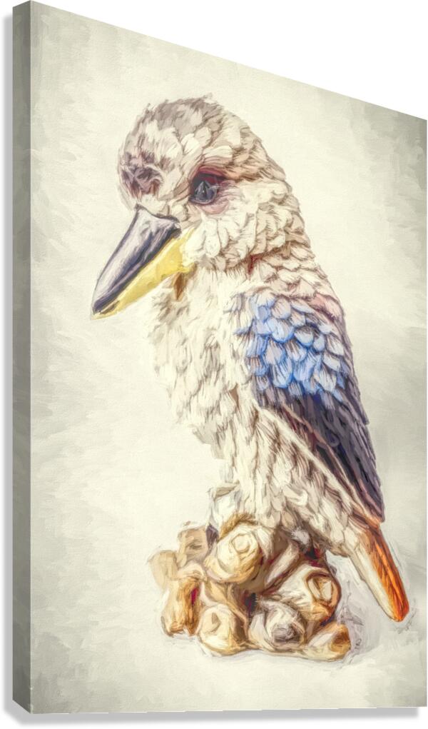 Kookaburra Perch Canvas Print