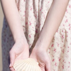 Environment Coastline Conservation