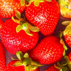 Vibrant fresh strawberries