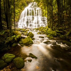 Nelson Falls