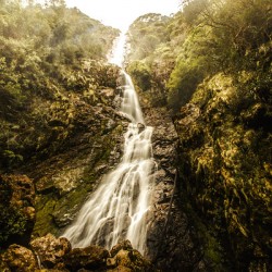 Montezuma Falls Tasmania