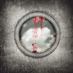 The gull who could no longer sea