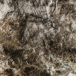 Shaped By Weather And Time