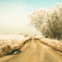 Winter road wonderland
