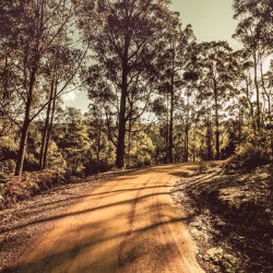 Roads less travelled 