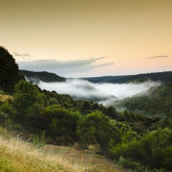 Waratah morning landscape of Mount Bischoff Valley