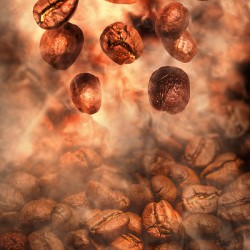 Hot roasted falling coffee beans