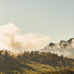Misty mountain peaks