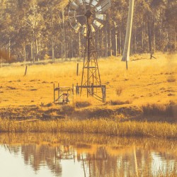Rustic Windmill 