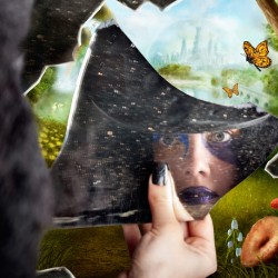 Mysterious jester found wonderland in a reflection