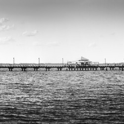 Shorncliffe pier black and white landscape