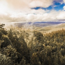 Hartz Mountains to Wellington Range