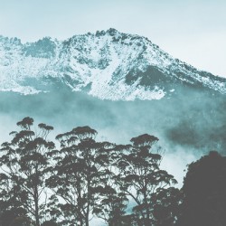 Blue mountain winter landscape