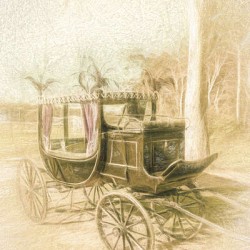 Horse drawn funeral cart 
