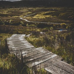 Hiking trail leading to distant Australia bushland