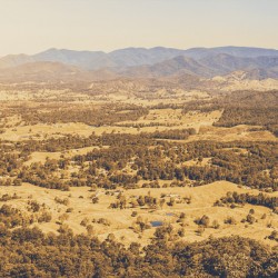 Faded Old Rustic Country