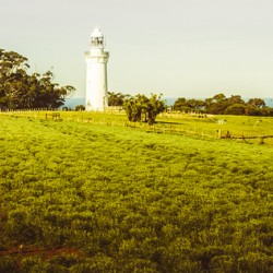 Wynyard lighthouse way