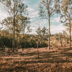 Beauty And Rusticity