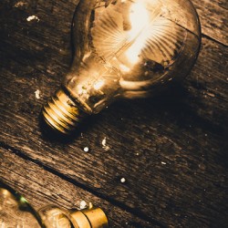 Still life inspiration