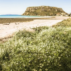 Scenic stony seashore