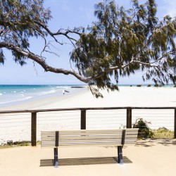 Beach Bench