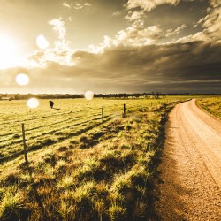 Way to Policemans Point Tasmania