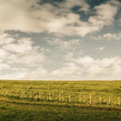 Camena Tasmania country panorama