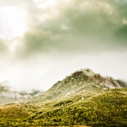 Temperate alpine terrain