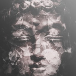 Figments in fruition 